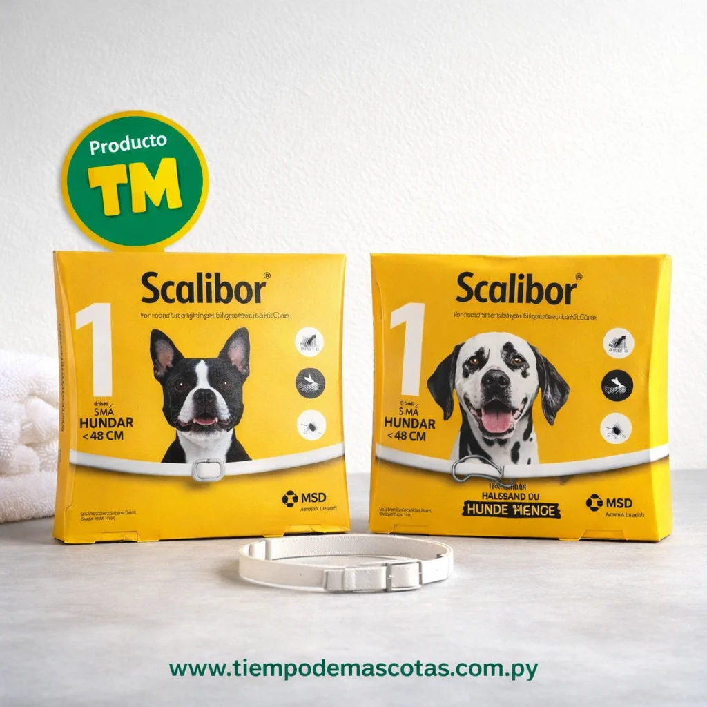 SCALIBOR collar