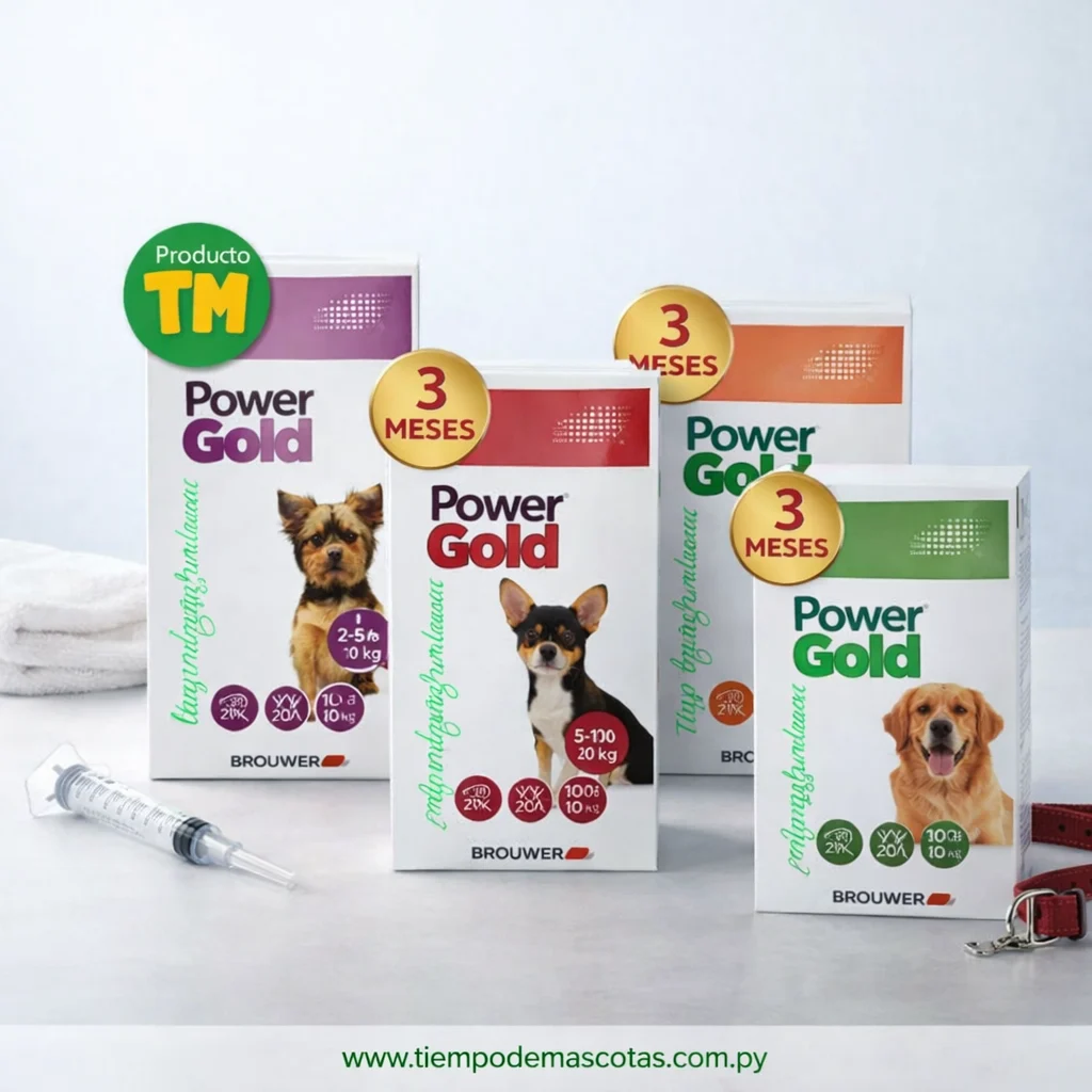 BROUWER POWER GOLD comprimido 3meses
