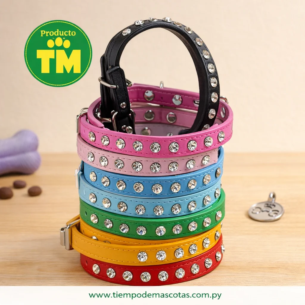 COLLAR CUERINA con tachas