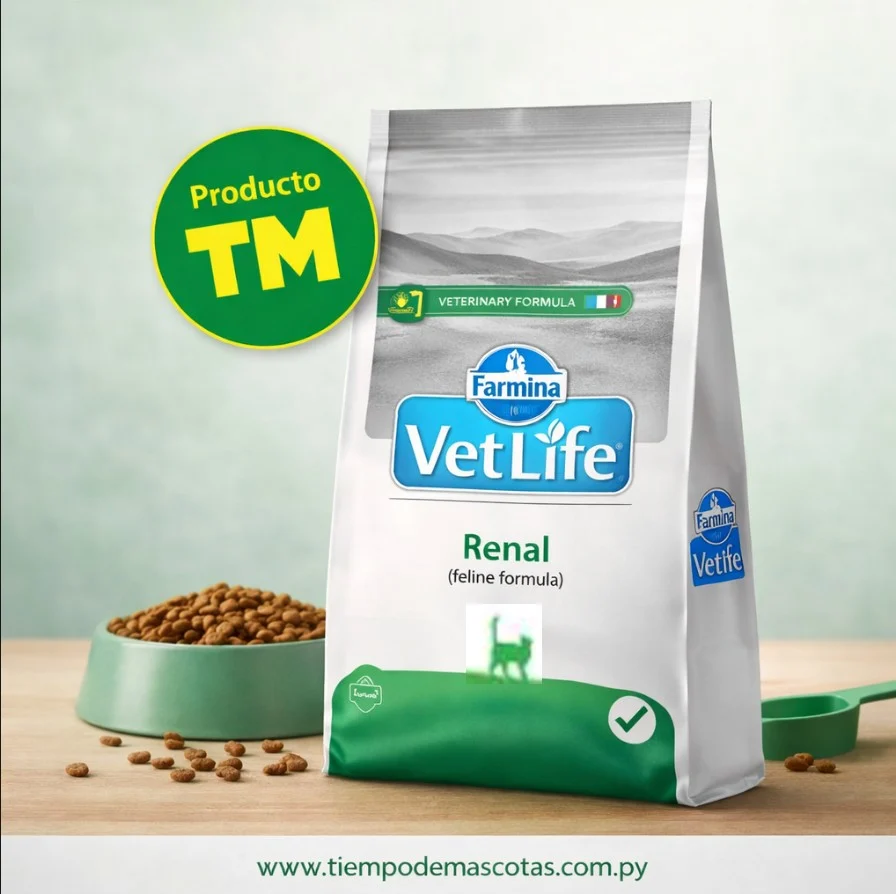 VETLIFE gato renal