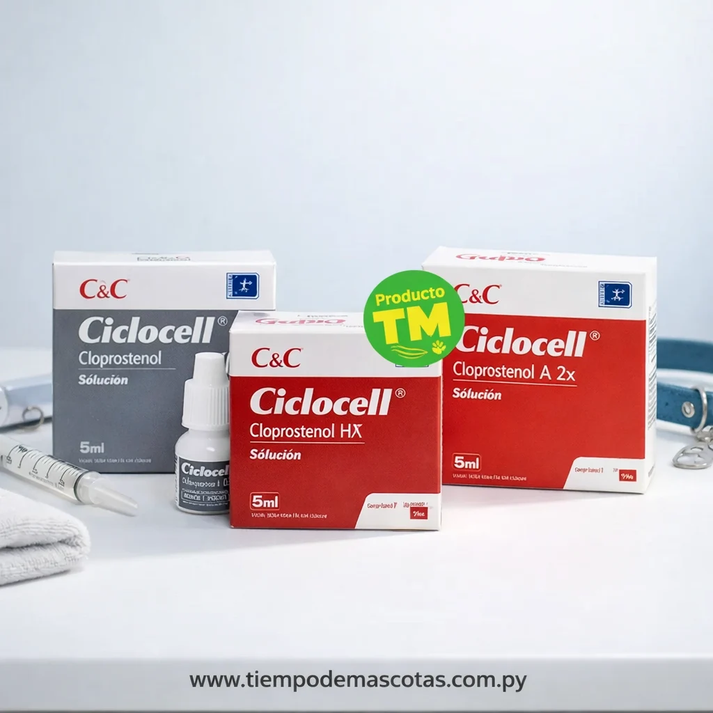 C&C CICLOCELL ciclosporina