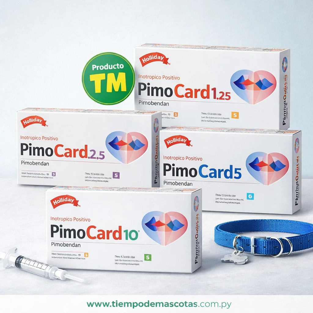 HOLLIDAY PIMOCARD caja