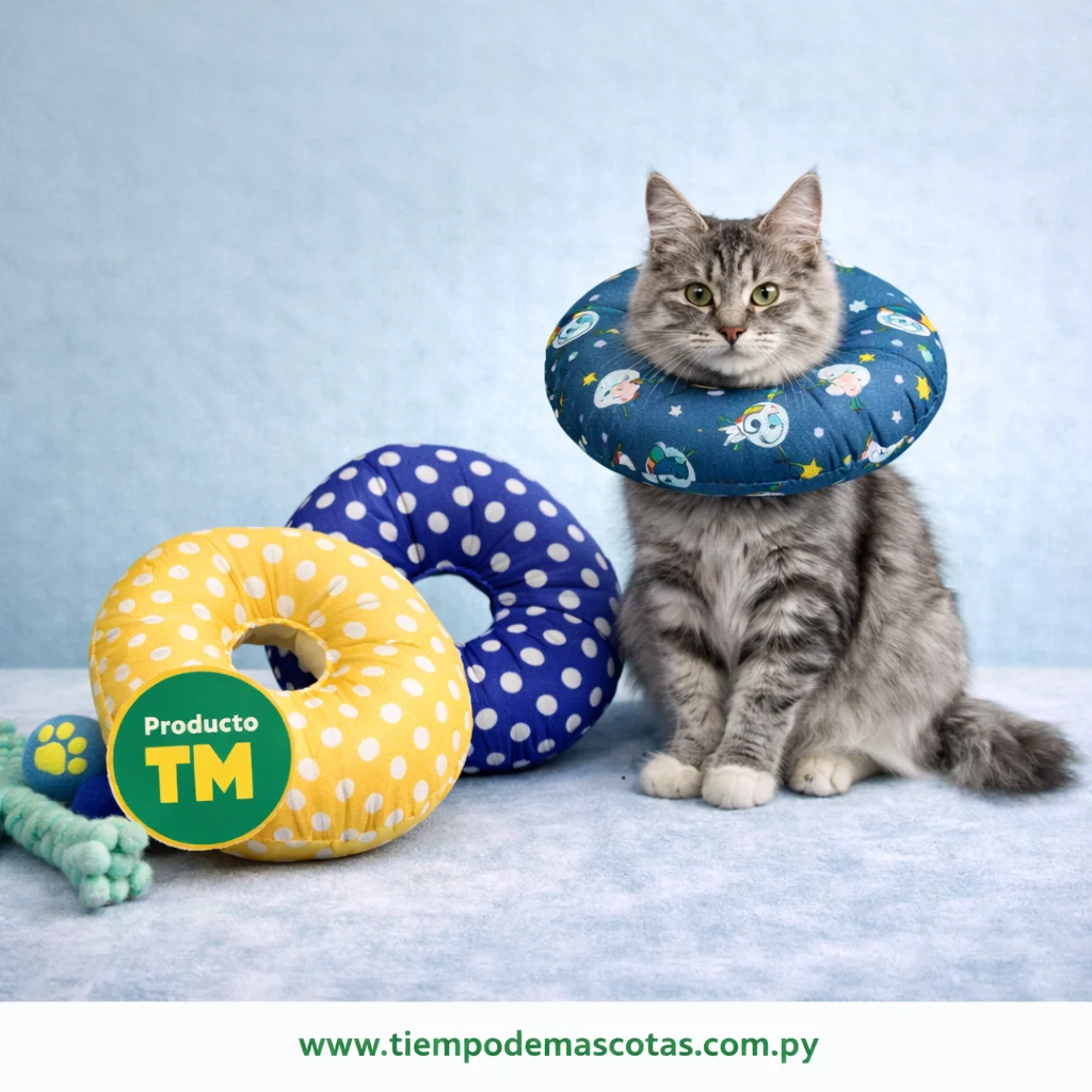 collar isabelino en donut FULL PETS