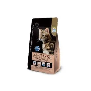 MATISSE GATO CAST SALMON 2KG