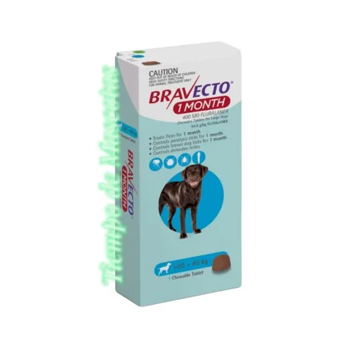 Bravecto 1M Perro 20-40kg Azul Comp - Producto en Tiempo de Mascotas