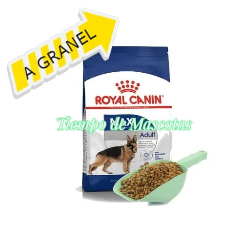 ROYAL PERRO MAXI ADULTO GRANEL JE