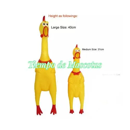 Gallina Grande - Producto en Tiempo de Mascotas