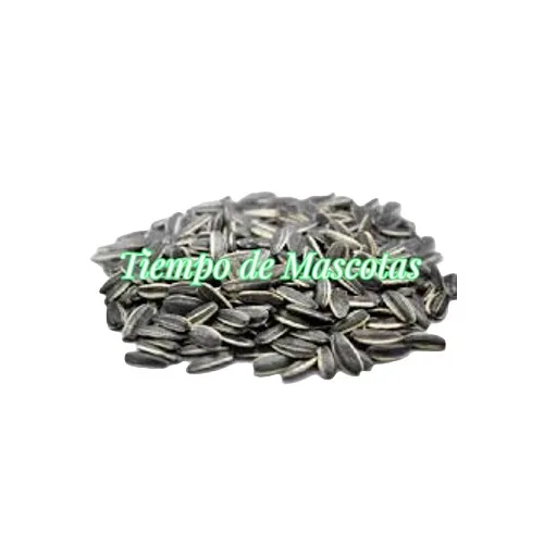 Semilla de Girasol Grande Granel - Producto en Tiempo de Mascotas