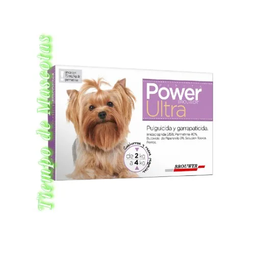 BROUWER POWER ULTRA 02-04KG LILA
