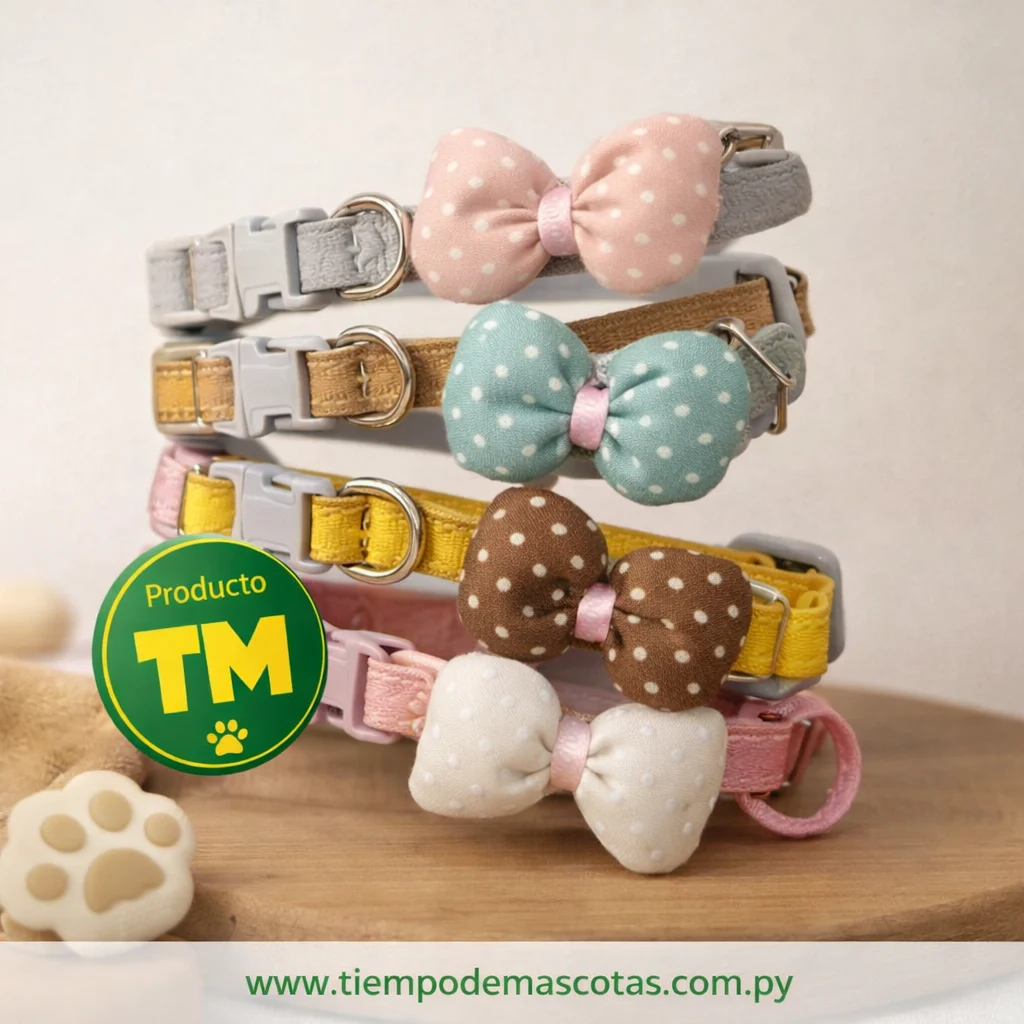 collar ajustable para perro - Producto en Tiempo de Mascotas