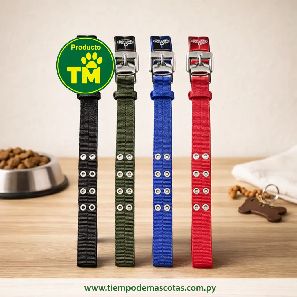collar liso 5cm*76cm BA296 - Producto en Tiempo de Mascotas
