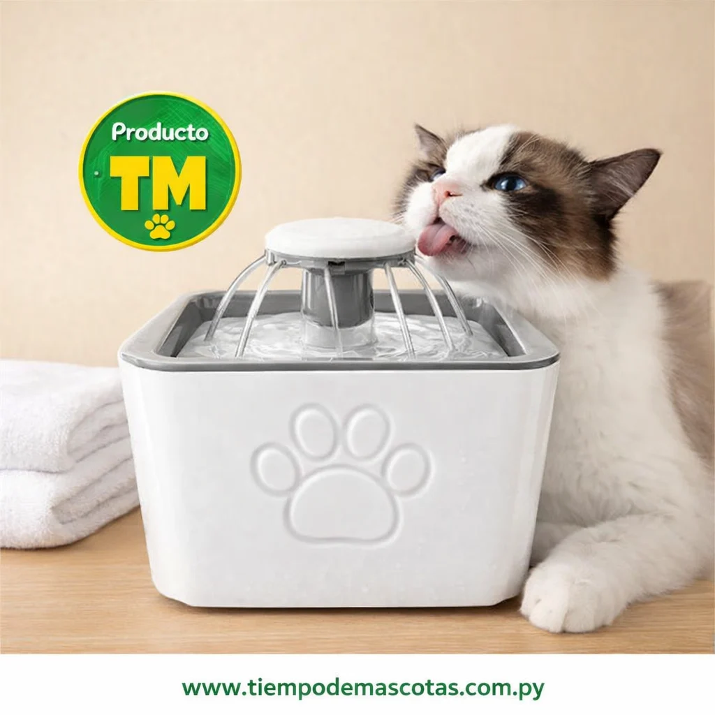 fuente de agua cuadrado 2.5L - Producto en Tiempo de Mascotas