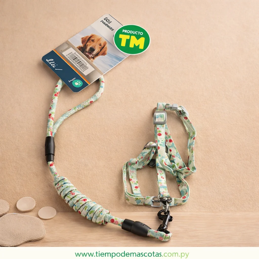 Correa Estampada Dn031 XP - Producto en Tiempo de Mascotas