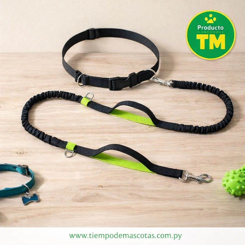 Correa con cinto ABT 742 2.5*120CM - Producto en Tiempo de Mascotas