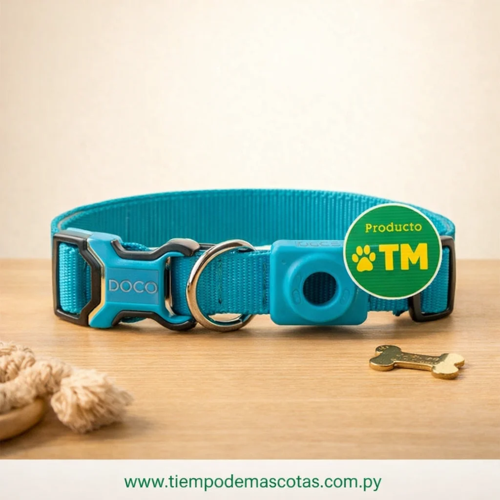 Doco Collar Airtag M Turquesa - Producto en Tiempo de Mascotas