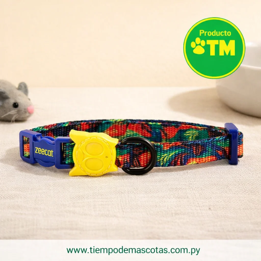 Zeecat Collar Samba - Producto en Tiempo de Mascotas