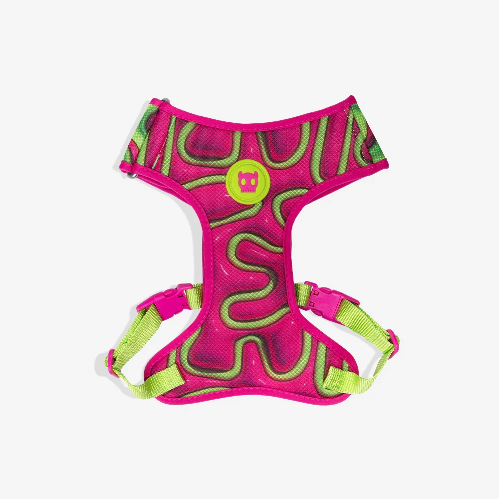 Zeedog Mesh Harness S Jelly - Producto en Tiempo de Mascotas