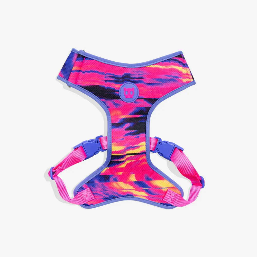 Zeedog Mesh Harness XS Error #500 - Producto en Tiempo de Mascotas