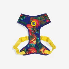 Zeedog Mesh Harness XS Samba - Producto en Tiempo de Mascotas