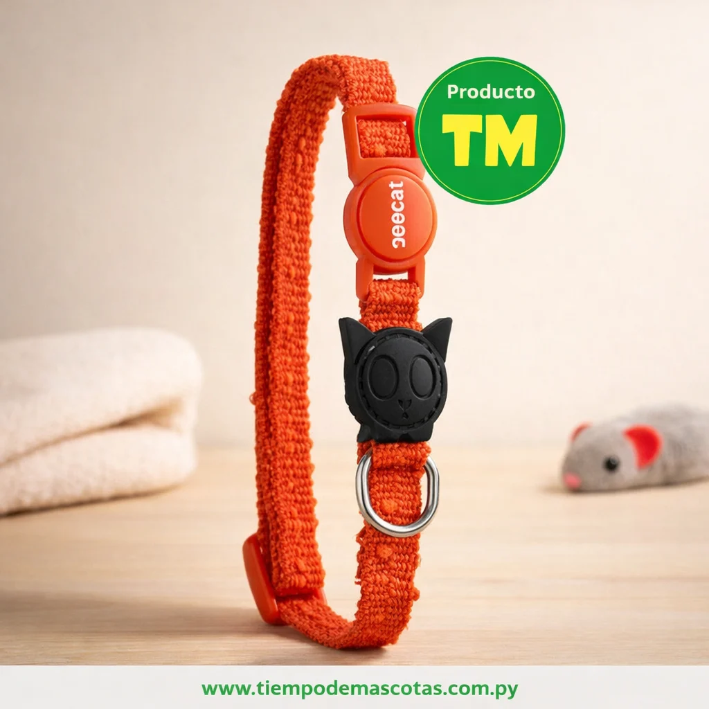 Zeecat Collar Grid - Producto en Tiempo de Mascotas