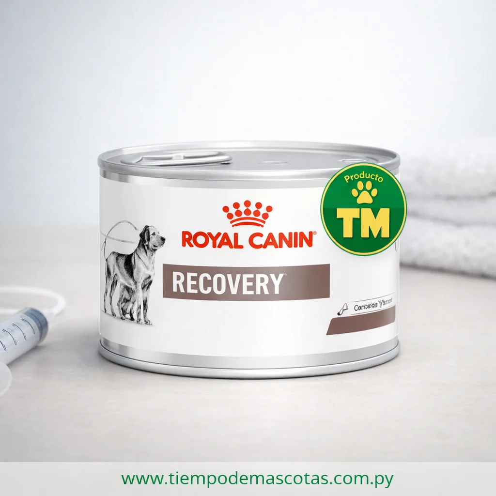 Royal Perro Gato Lata Recovery 195g FR