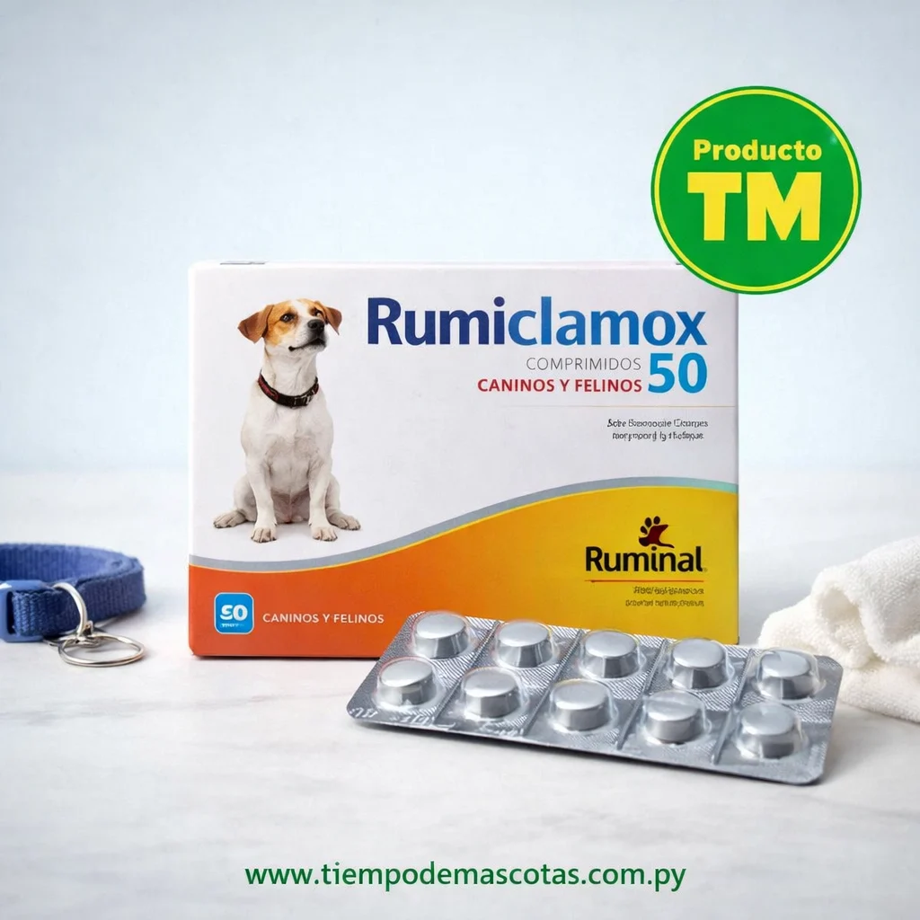 Rumiclamox 50 Blister 10Comp - Producto en Tiempo de Mascotas