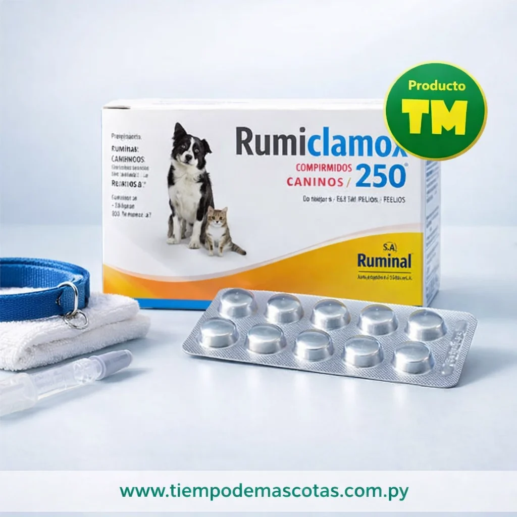 Rumiclamox 250 Blister 10Comp - Producto en Tiempo de Mascotas
