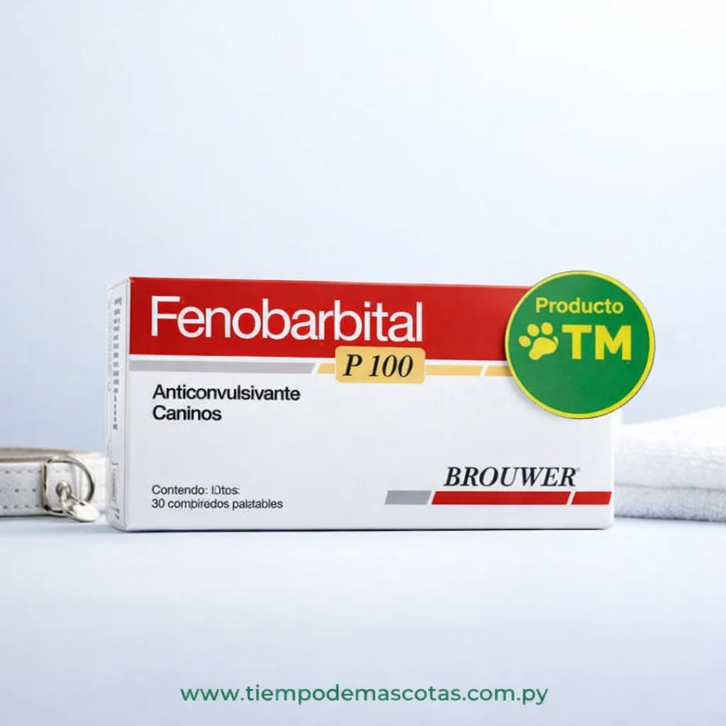 BROUWER FENOBARBITAL P100