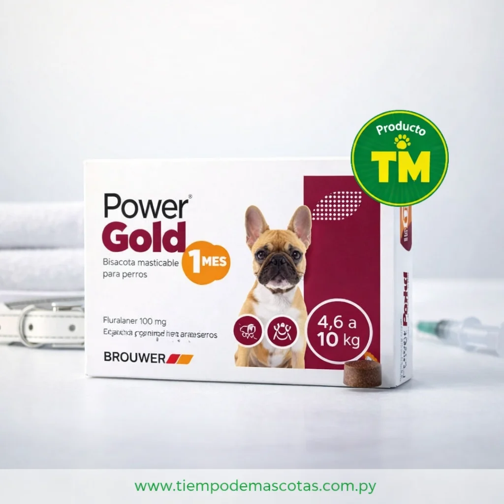 BROUWER POWER GOLD 1M 04.6-10KG BORDO