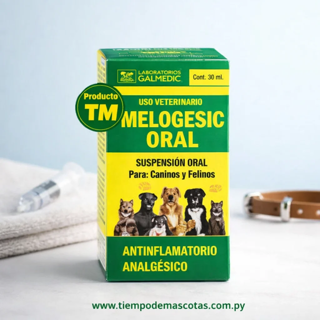 Galmedic Melogesic Oral Suspension 30ml - Producto en Tiempo de Mascotas