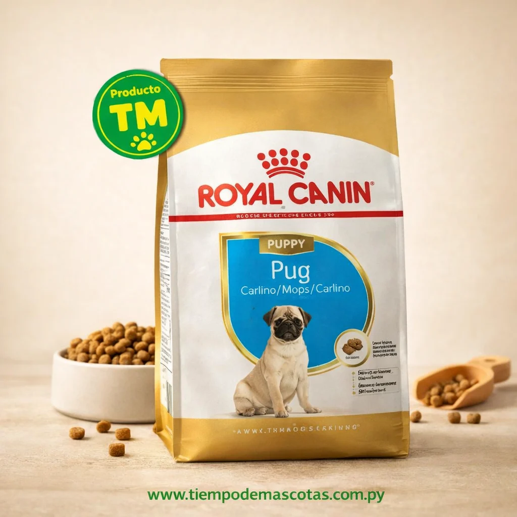 Royal Perro Pug Puppy 1.5kg FR - Producto en Tiempo de Mascotas
