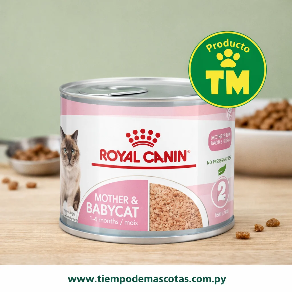 Royal Gato Lata Babycat 195g Unidad FR - Producto en Tiempo de Mascotas