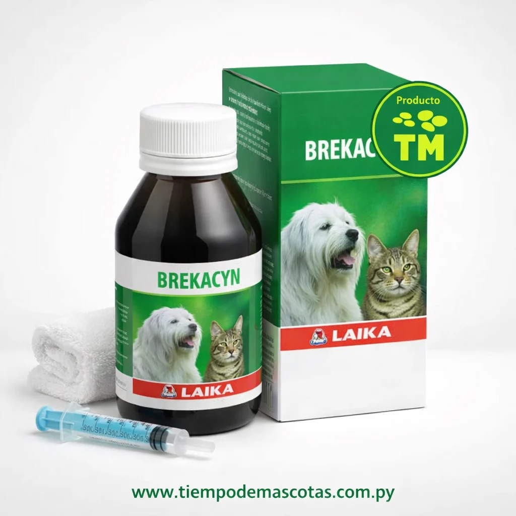 Brecacyn Jarabe Antibiotico 100ml - Producto en Tiempo de Mascotas