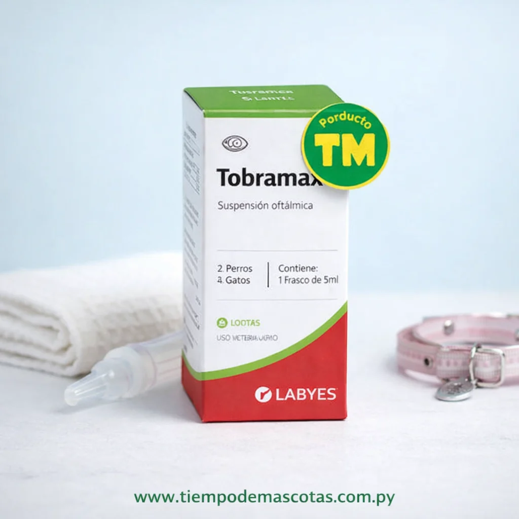 Labyes Tobramax Suspension 5ml - Producto en Tiempo de Mascotas
