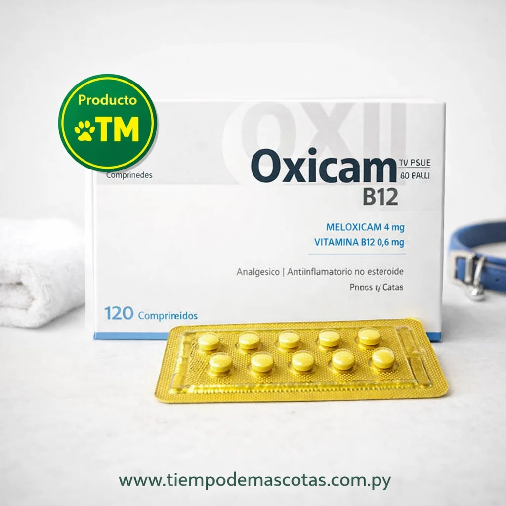 OXICAM B12 MELOXICAM 4MG blister - Producto en Tiempo de Mascotas