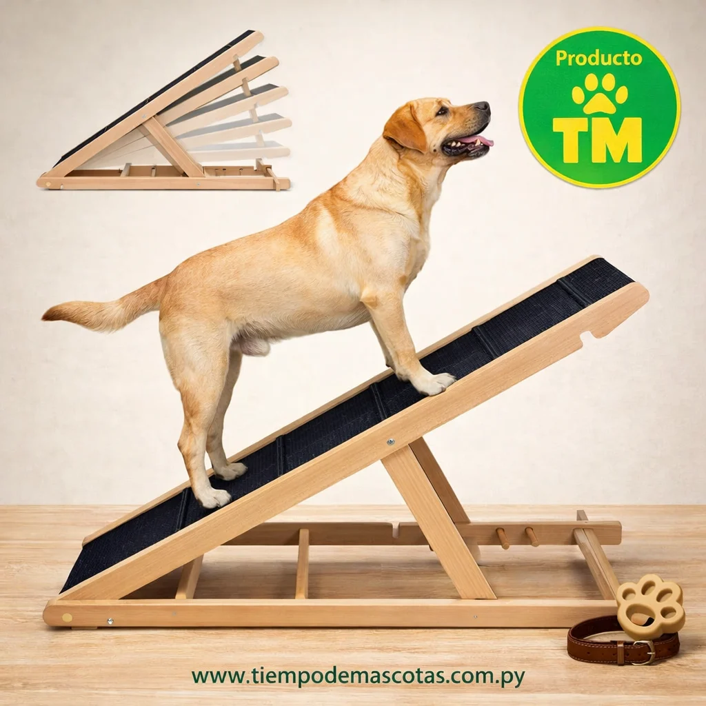 Rampa Escalera para Perros y Gatos 100*40 AJ-451 - Producto en Tiempo de Mascotas