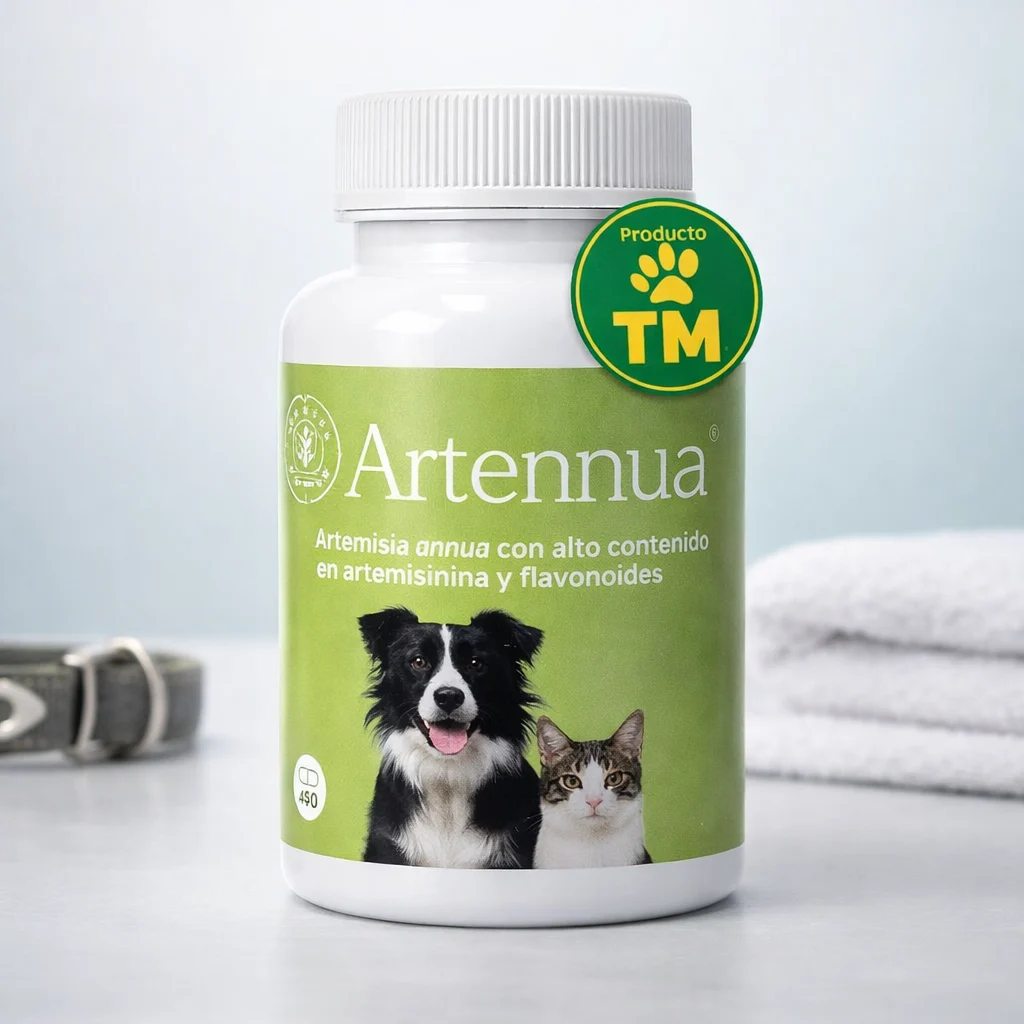 ARTENNUA 90 CAPS