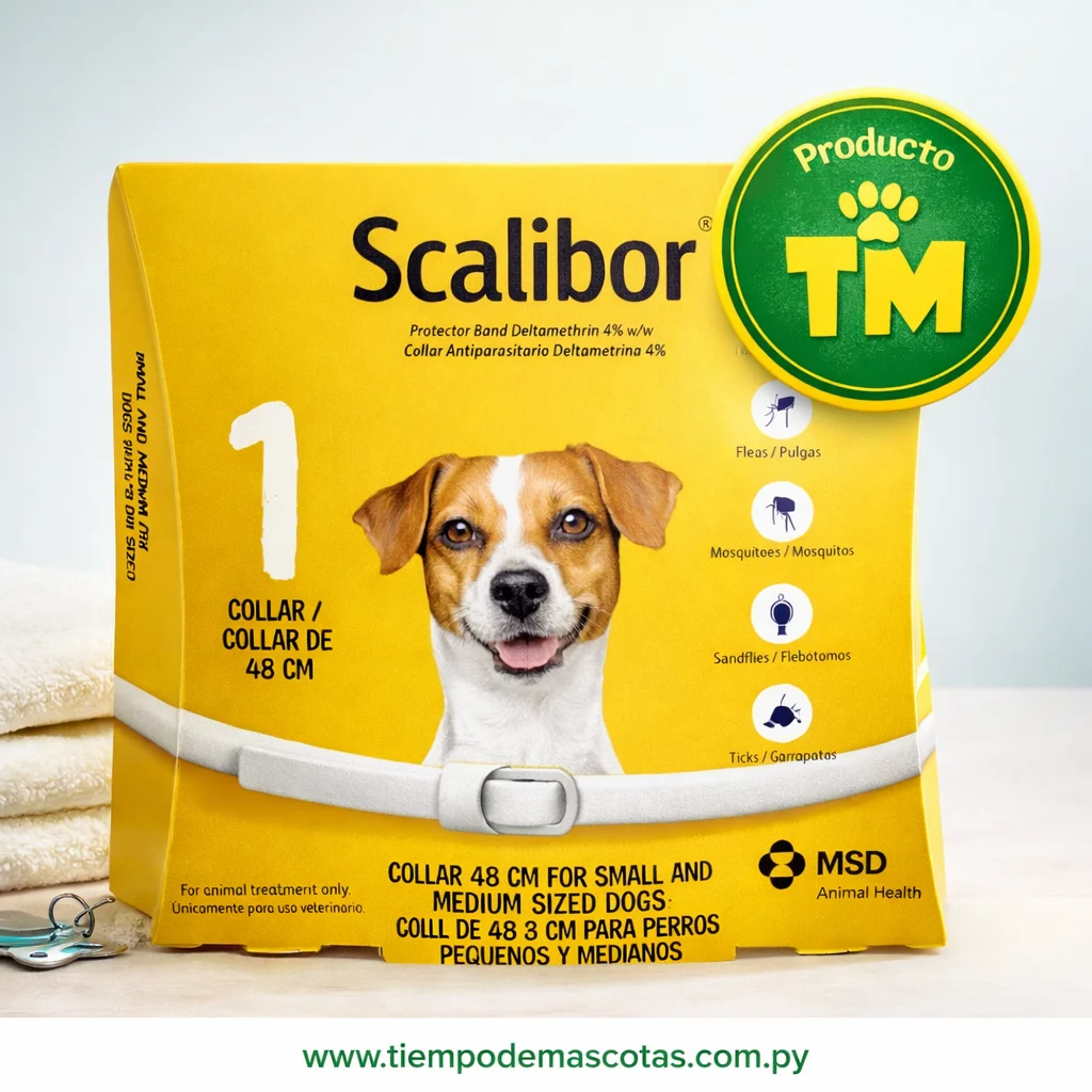 SCALIBOR P M 48CM