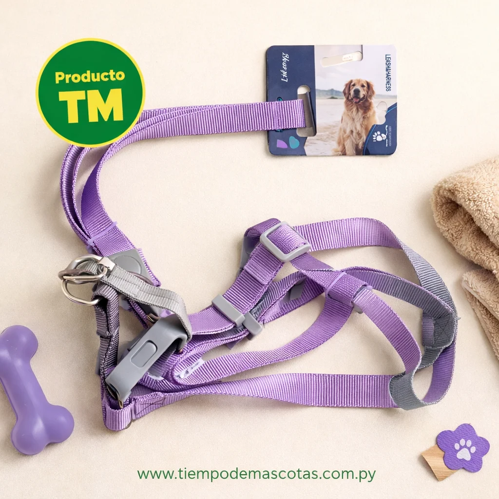 Correa Liso Dn021 - Producto en Tiempo de Mascotas