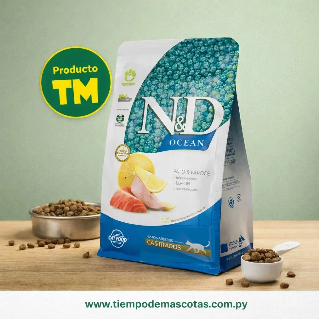 NYD GATO OCEAN CAST SALMON 1.5KG