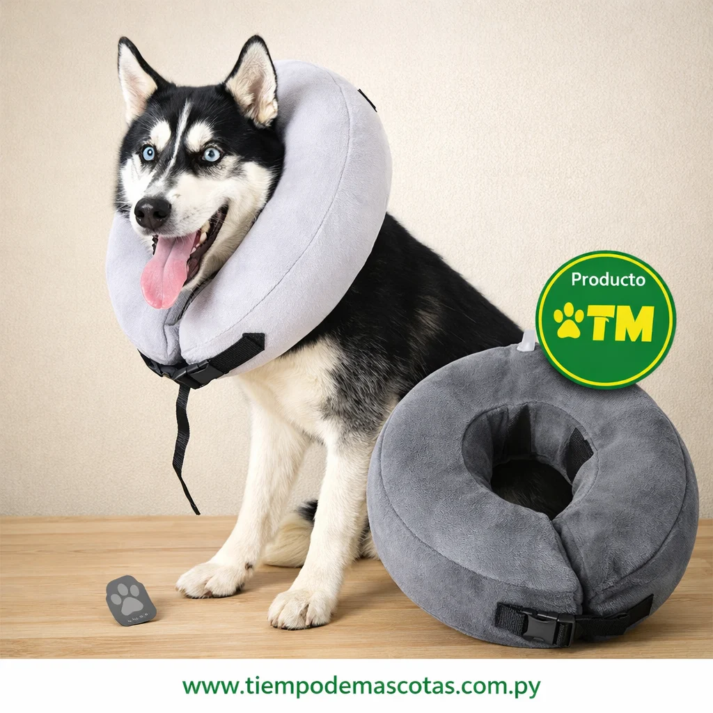Collar Isabelino de Espuma Talle M Full Pets - Producto en Tiempo de Mascotas