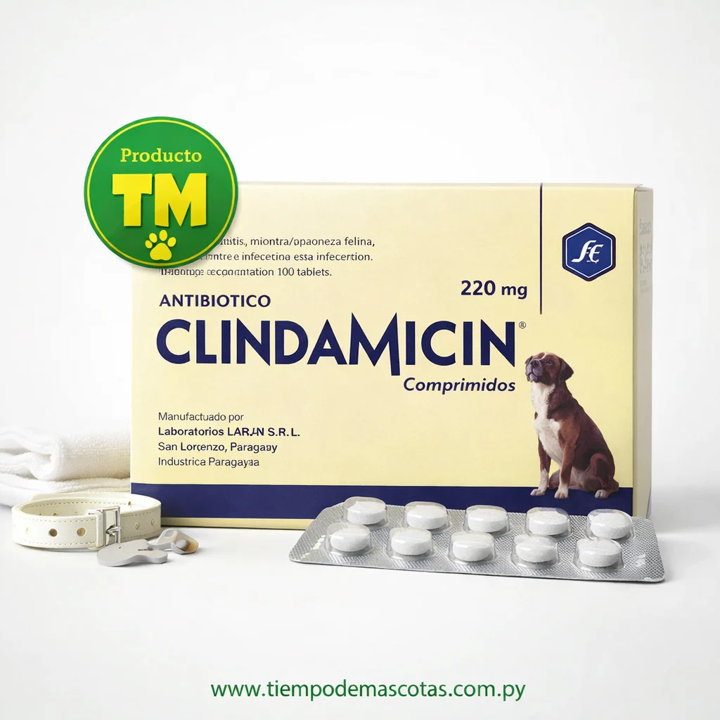 CLINDAMICIN 220MG 10COMP - Caja de 10u
